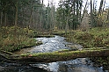 Rostoczek 11.2008 064